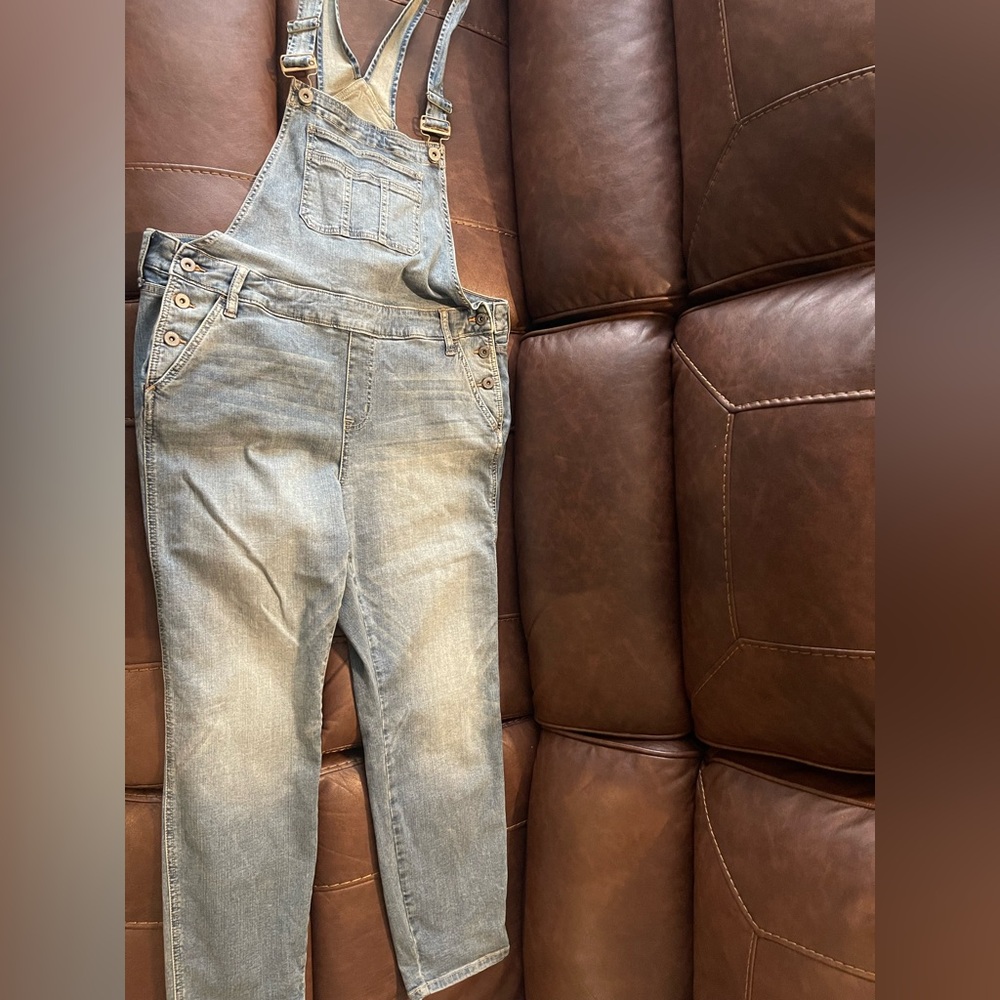 torrid Light Blue Relaxed Denim Overalls